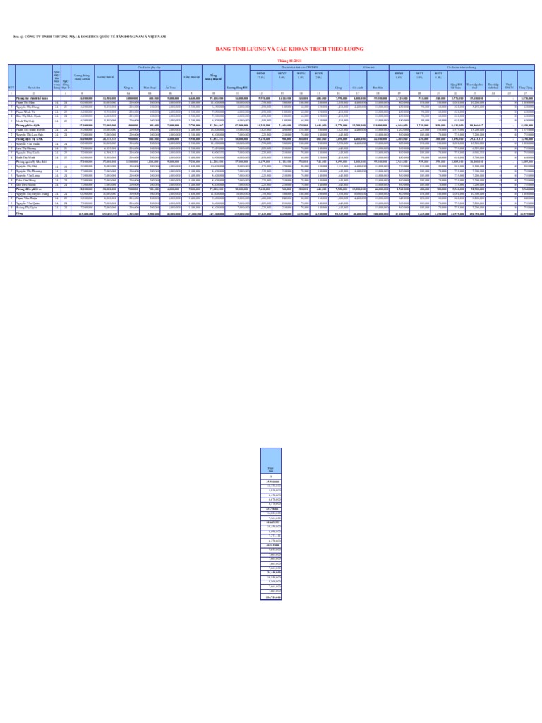 Mau Bang Luong Tren Excel | PDF