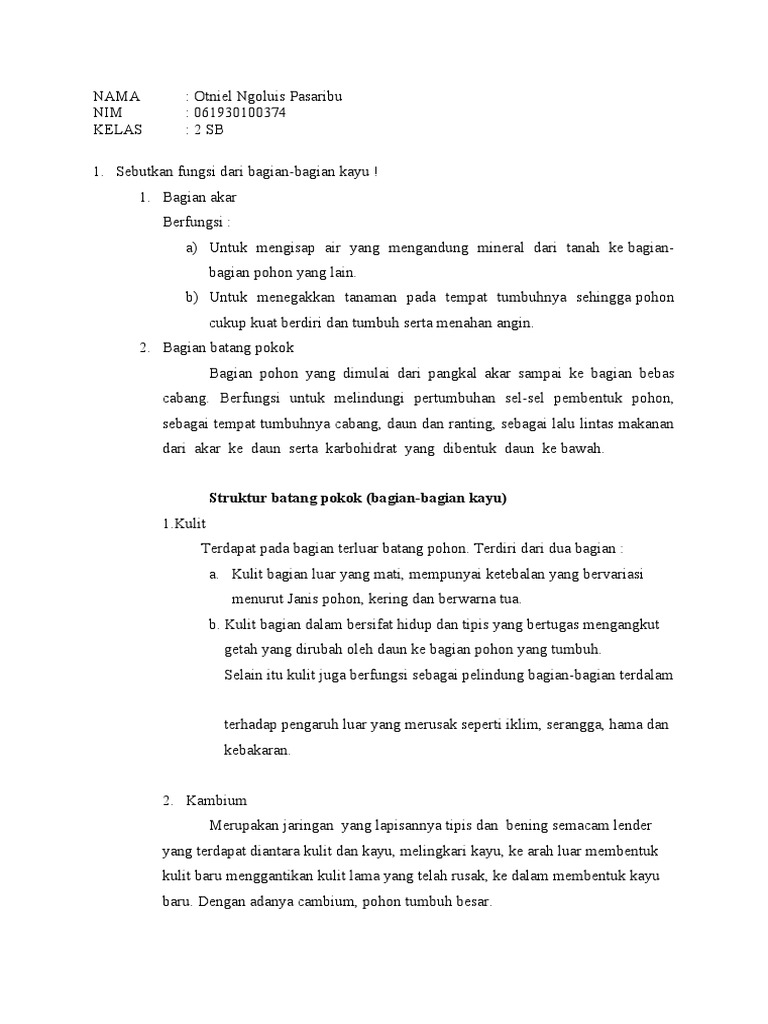 Bahan Bangunan Anjeli Pebriyanti 2 SB PDF