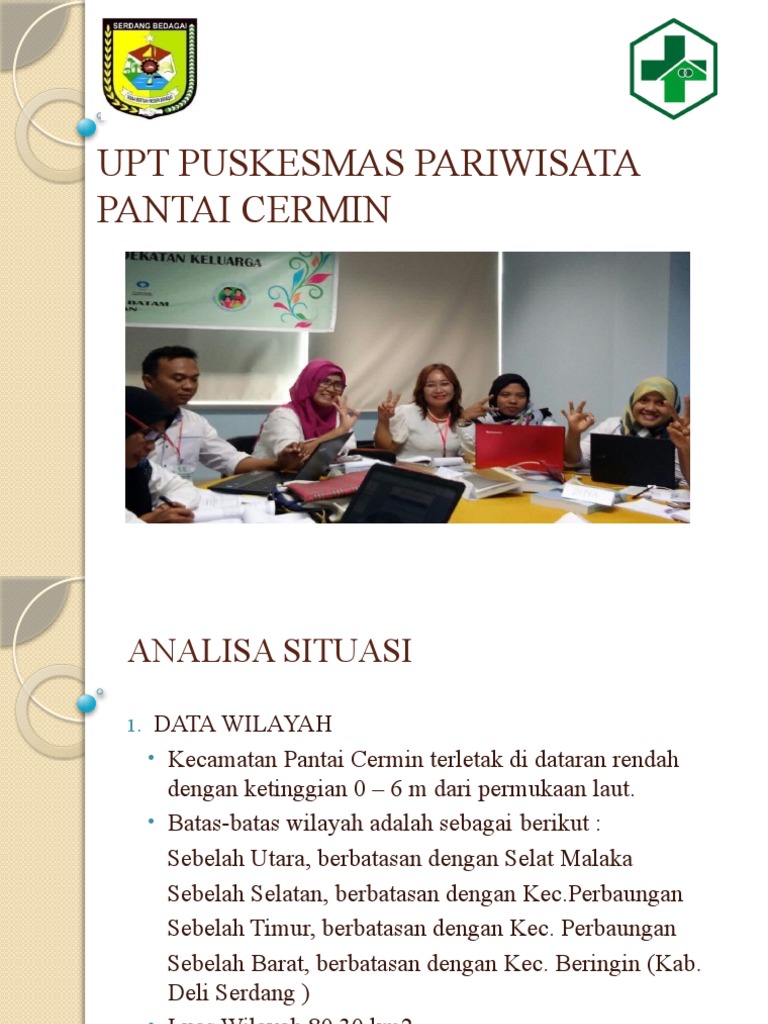 Capaian program puskesmas pantai cermin pdf