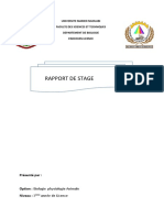 Rapport de Stage Oyo 2021 Fait Par Aly Charen