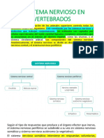 El SISTEMA NERVIOSO EN VERTEBRADOS