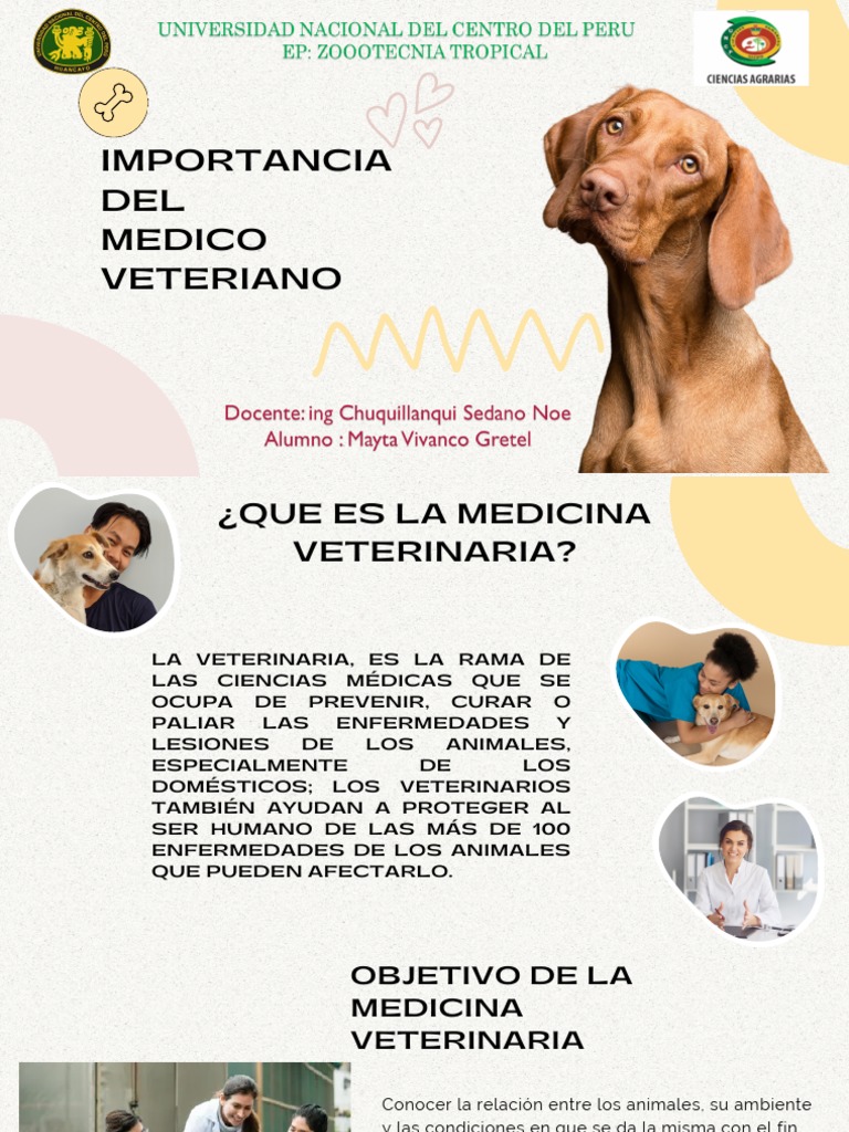 Importancia Del | PDF | Medicina Veterinaria | Medicina