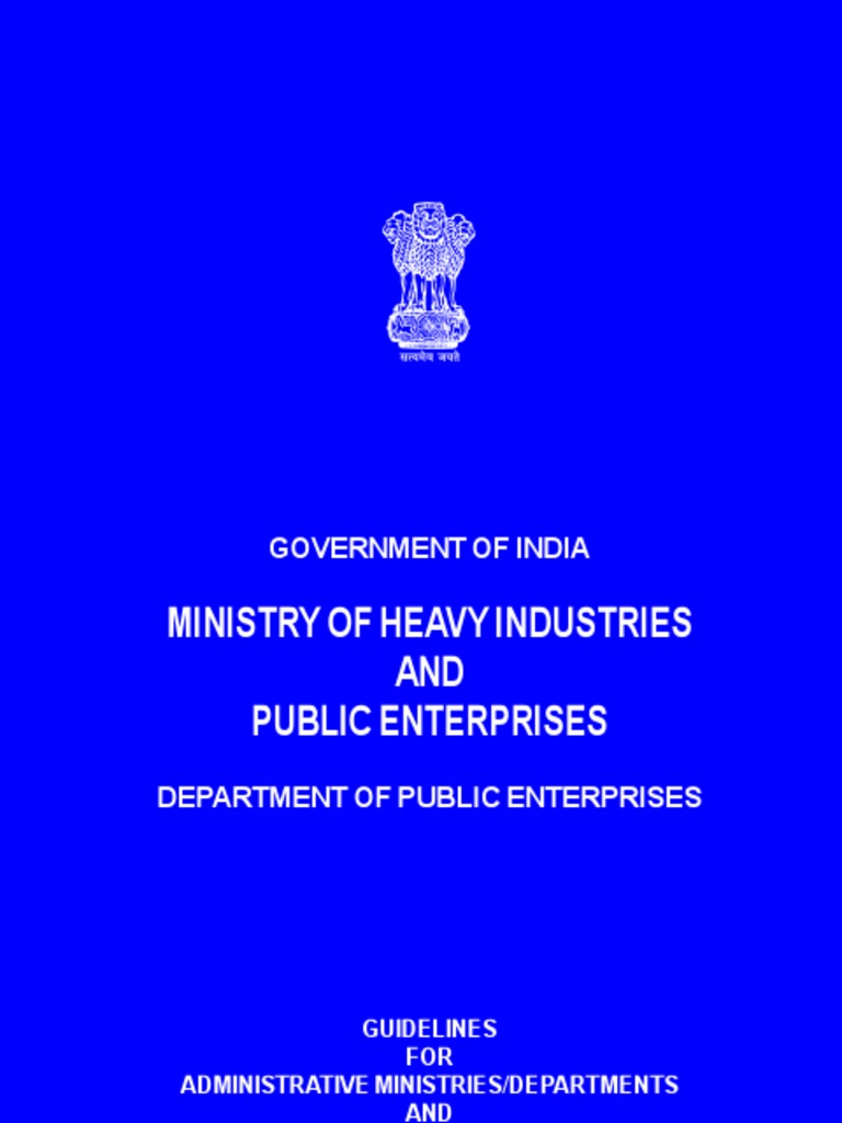 DPE Guidelines 2019 PDF Governance Private Law
