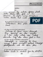 Biology CHP 3 Photosynthesis