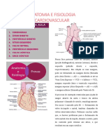 Anatomia e Fisiologia Cardiovascular