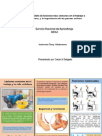 Evidencia Folleto de Lesiones Más Comunes en El Trabajo o Vida Cotidiana, y La Importancia de Las Pausas Activas.