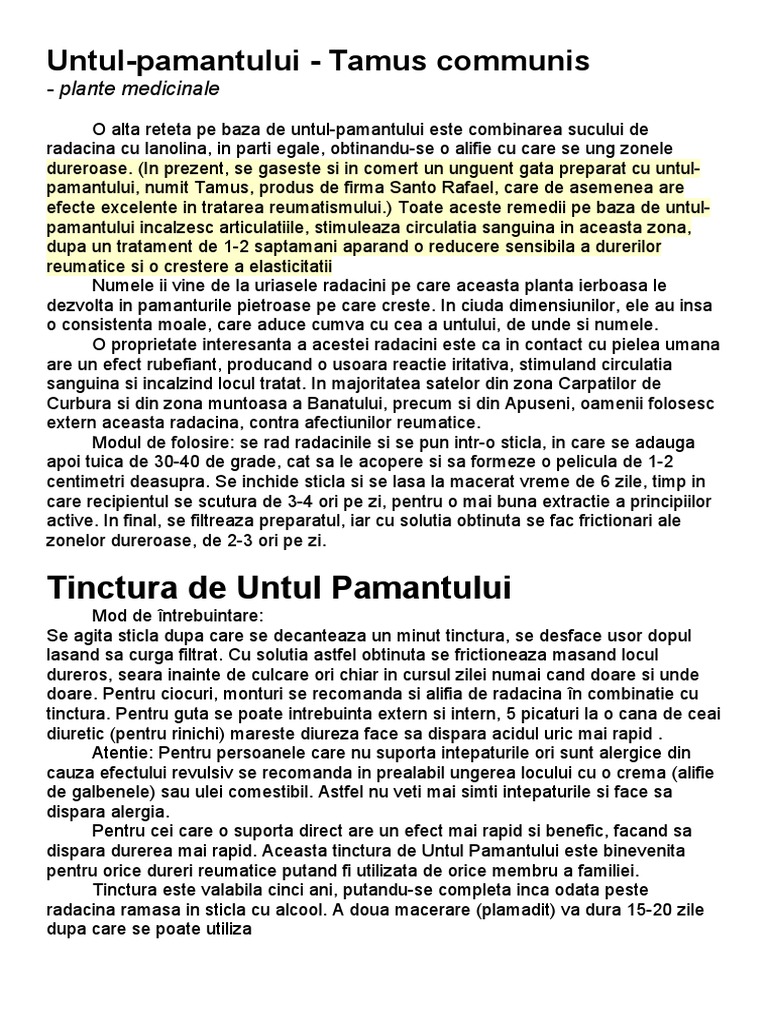 Untul Pamantului | PDF