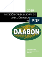 Informe Carga Laboral Personal Dirección Desarrollo Humano