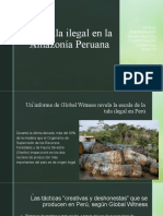 Contaminación - Tala y Mineria Ilegal