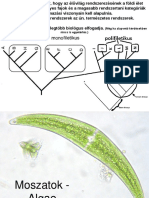 5 Alga - Monocot GTK