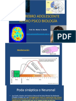 Cerebro Adolescente. Que-Es-Una-Célula-Y-Sus-Componentes