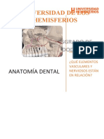 Trabajo de Anatomia. Caso Clinico