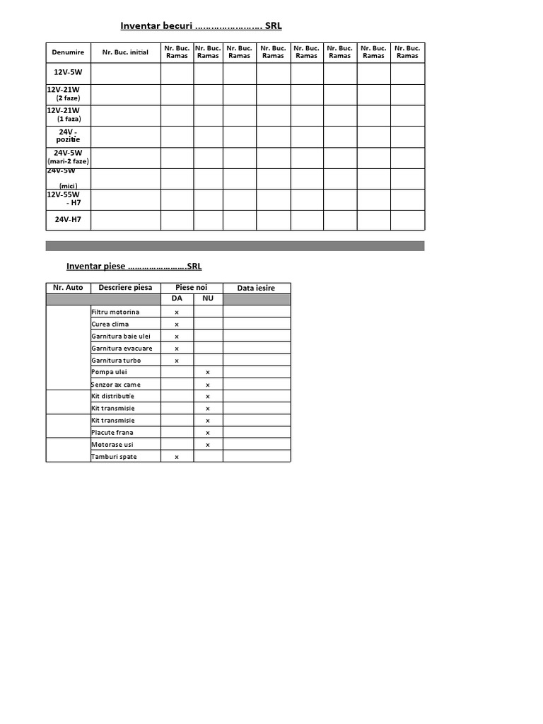 Model - Inventar Piese+consumabile Auto | PDF