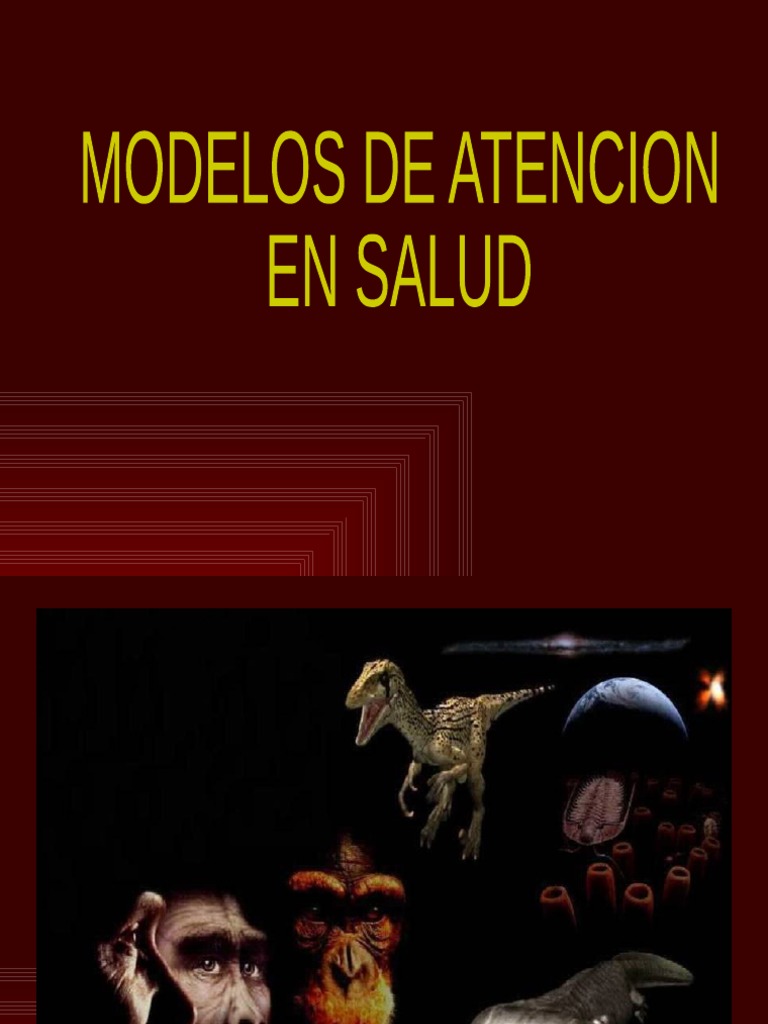 Modelos de Atencion en Salud | PDF | Hospital