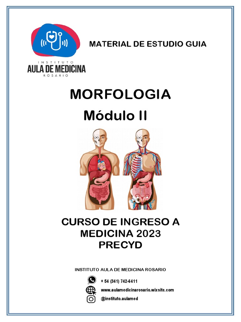 Guía de Morfología II para Medicina 2023 | PDF | Aorta | Sistema ...