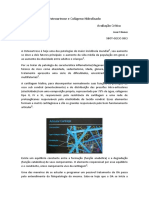 Osteoartrose e Colageno Hidrolisado Modificado