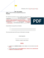 Formato Carta de Liberación PP y SS Modalidad Virtual