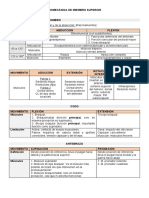 Mini Resumen Biomecanica