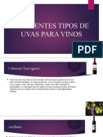 Diferentes Tipos de Uvas para Vinos