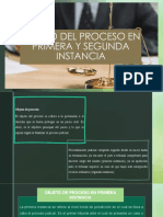 Objeto de Proceso en Primera y Segunda Instancia