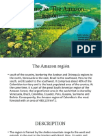 Welcome To The Amazon Región
