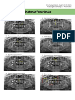 Anatomia Panorâmica