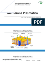 Aula 4 _ Membrana Plasmática