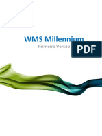 WMS Millennium Primeira Versão