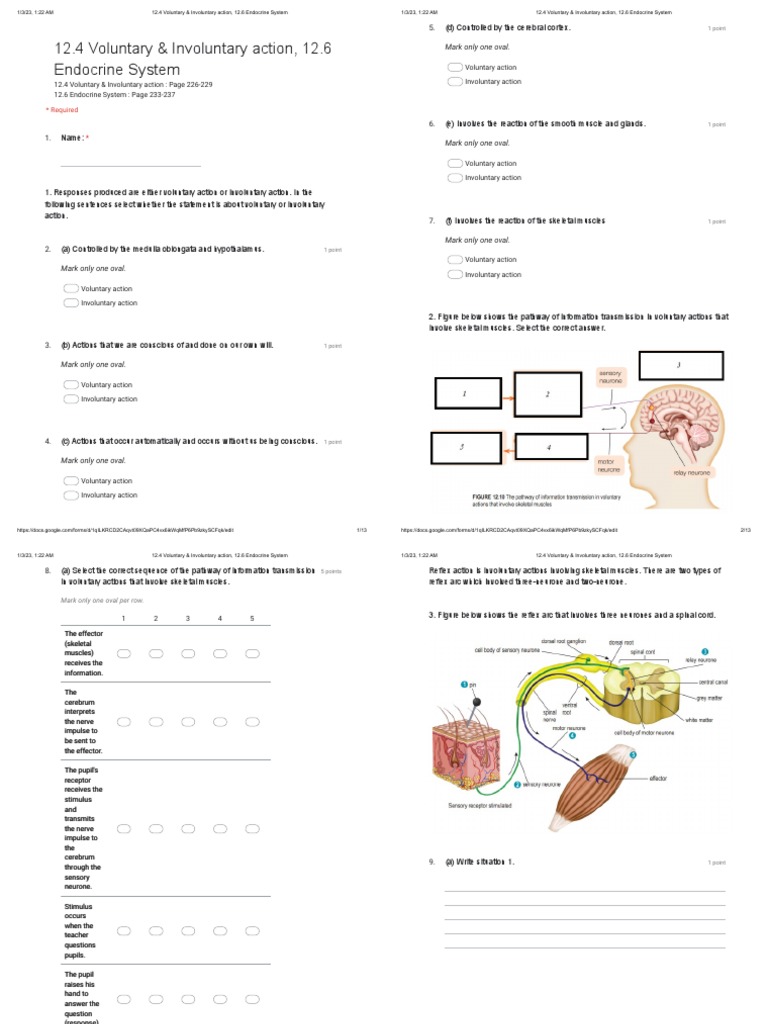 12.4 Voluntary & Involuntary action, 12.6 Endocrine System - Google ...