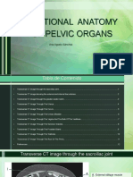 Sectional Anatomy of Pelvic Organs