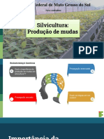 Produção de Mudas 1