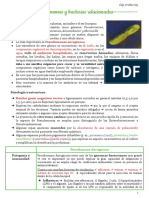 Pseudomonas y Bacterias Relacionadas