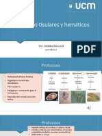 Clase 5 Protozoos Tisulares y Hemã¡ticos