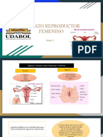 Aparato Reproductor Femenino