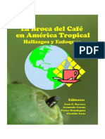 Cafe y Cerezas, La Broca Del Café