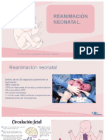 Reanimacion Neonatal