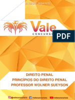 02+PRINCIPIOS+DO+DIREITO+PENAL