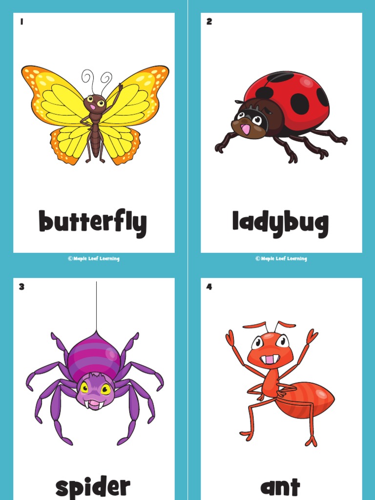 Butterfly Song Flashcards PDF