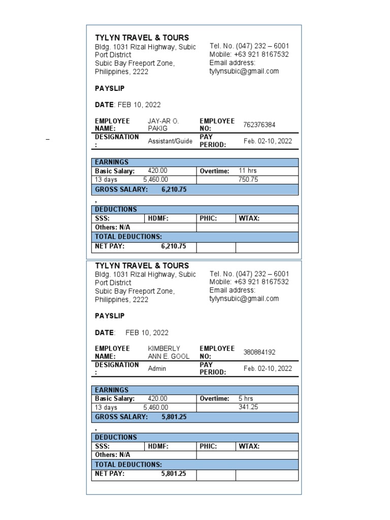 Payslip Template | PDF