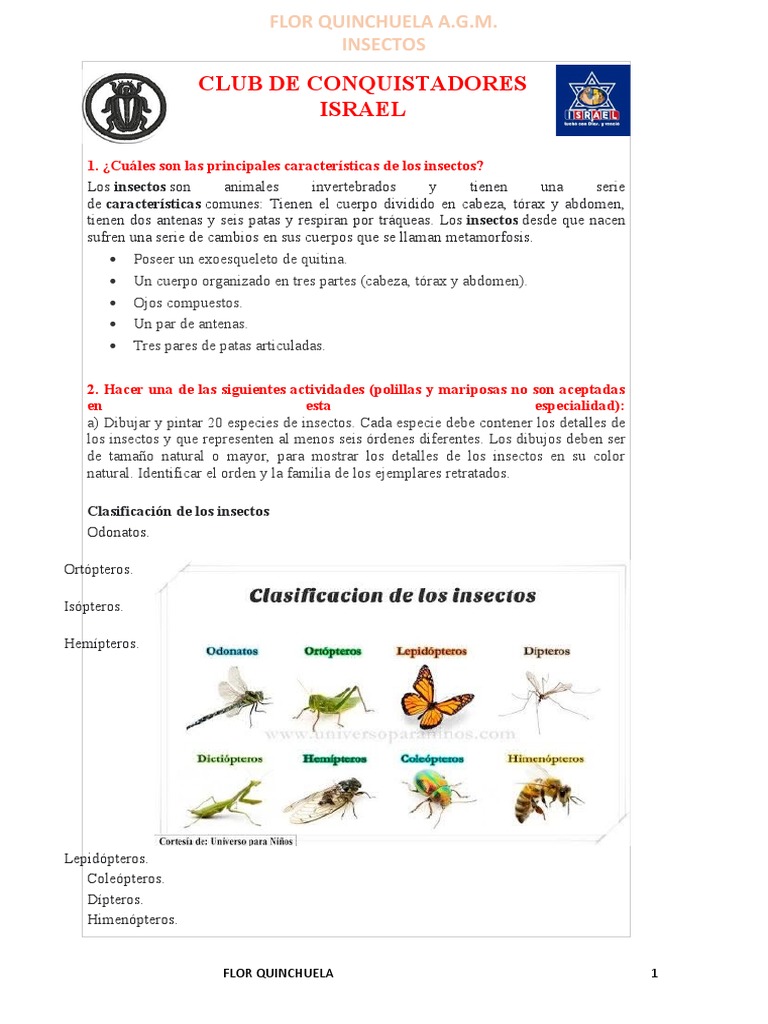 Insectos: Beneficios y Perjuicios | PDF | Insectos | Control biológico ...