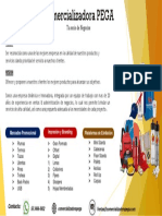 Servicios de Comercializadora PEGA 2023 3.0