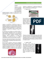 Informe Cristal de Sal