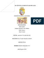 Informe 3