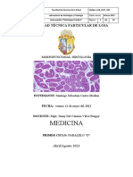 Guía #5 Tejido Muscular Liso y Cardiaco