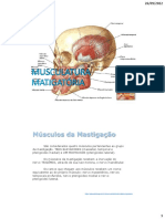 Músculos Mastigatórios PDF