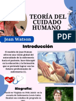 La Teoría de Jean Watson