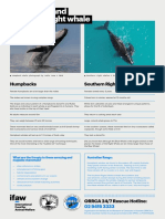 ORRCA Humpback and Southern Right Fact Sheet