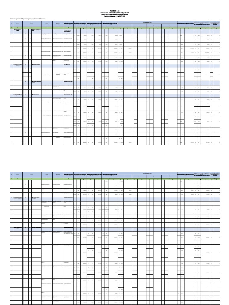 Format Kendala (Asistensi 26 Juli) Revisi Form E55 TR I II 2022 (Per 30 ...