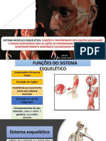 Aula 03 Sistema Músculo-Esquelético e Fraturas 1