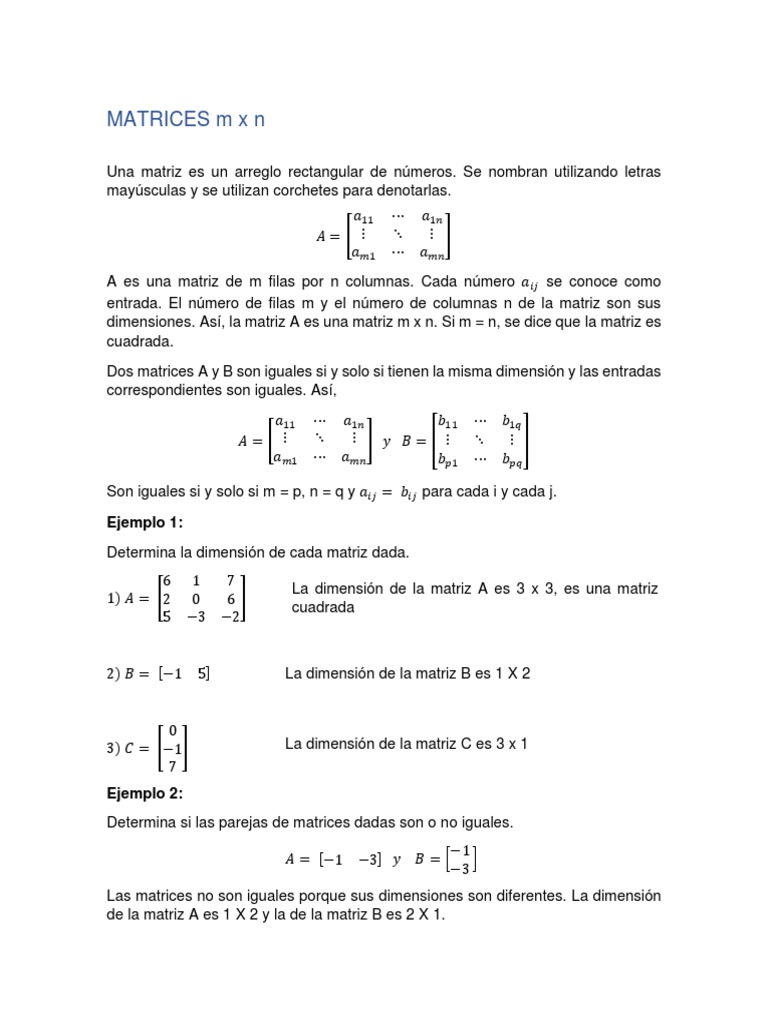 Introducción a Matrices m x n y Determinantes | PDF | Matriz ...
